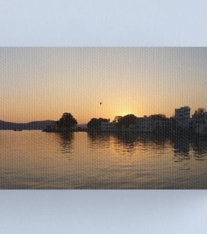 Reflection Of Light